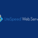 LiteSpeed Webhosting